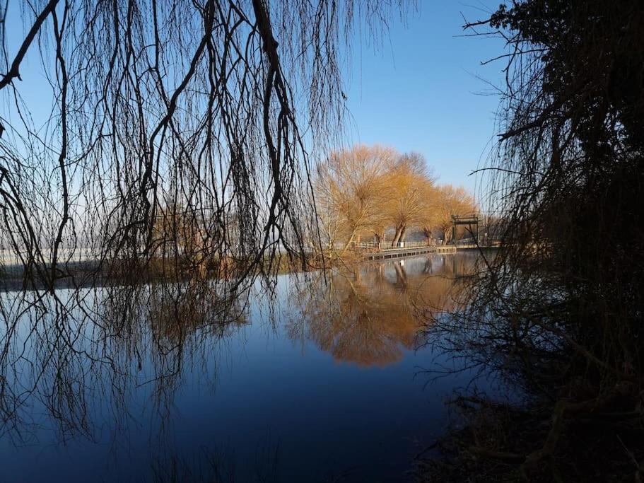 West Farm Cottage Godmanchester Buitenkant foto